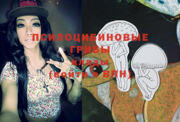 ГАЛЛЮЦИНОГЕННЫЕ ГРИБЫ Верея