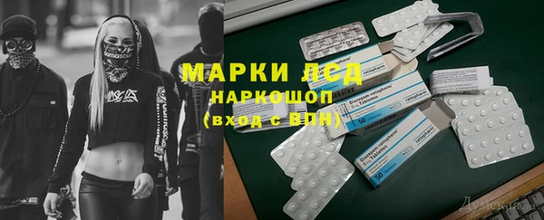 ГАЛЛЮЦИНОГЕННЫЕ ГРИБЫ Верея