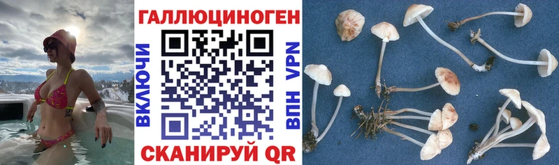Псилоцибиновые грибы MAGIC MUSHROOMS  Белгород 