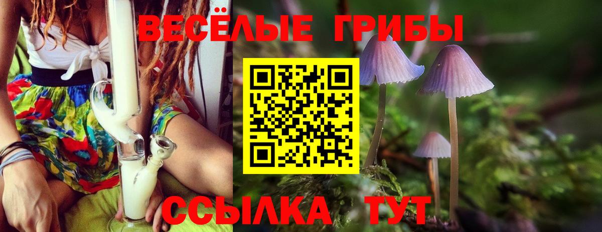 где можно купить   Вход с VPN  Белгород  Псилоцибиновые грибы MAGIC MUSHROOMS 