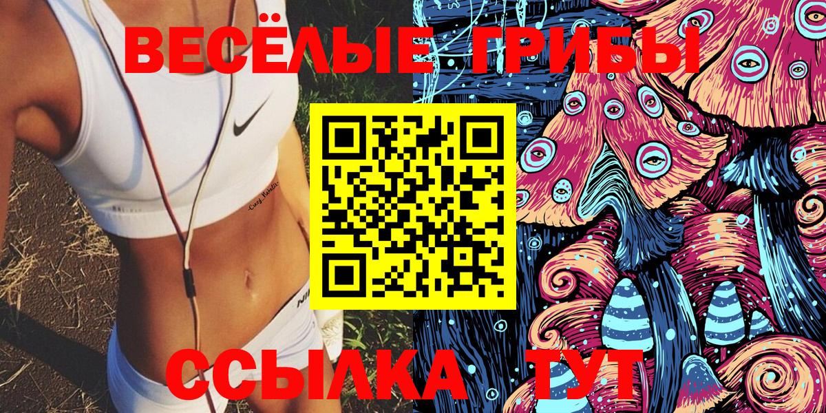 Псилоцибиновые грибы GOLDEN TEACHER Белгород
